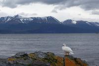 17 Tage Wanderreise Argentinien und Chile – Patagonien und Feuerland mit Buenos Aires – Nationalpark Los Glaciares mit El Chalten und Perito Moreno – Nationalpark Torres del Paine – Feuerland – Ushuaia (904) &ndash; &copy; Benjamin Rodriguez Manzanares (Eberhardt TRAVEL)