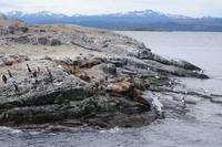 17 Tage Wanderreise Argentinien und Chile – Patagonien und Feuerland mit Buenos Aires – Nationalpark Los Glaciares mit El Chalten und Perito Moreno – Nationalpark Torres del Paine – Feuerland – Ushuaia (920) &ndash; &copy; Benjamin Rodriguez Manzanares (Eberhardt TRAVEL)
