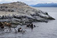 17 Tage Wanderreise Argentinien und Chile – Patagonien und Feuerland mit Buenos Aires – Nationalpark Los Glaciares mit El Chalten und Perito Moreno – Nationalpark Torres del Paine – Feuerland – Ushuaia (921) &ndash; &copy; Benjamin Rodriguez Manzanares (Eberhardt TRAVEL)