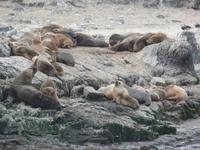 17 Tage Wanderreise Argentinien und Chile – Patagonien und Feuerland mit Buenos Aires – Nationalpark Los Glaciares mit El Chalten und Perito Moreno – Nationalpark Torres del Paine – Feuerland – Ushuaia (930) &ndash; &copy; Benjamin Rodriguez Manzanares (Eberhardt TRAVEL)