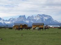 Gut angekommen im Torres del Paine - Patagonien (15) &ndash; &copy; Benjamin Rodriguez Manzanares (Eberhardt TRAVEL)