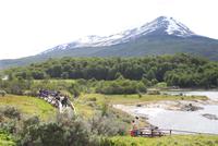 Die Lapataya-Bucht im Feuerland-Nationalpark