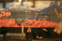 Im Regional-Museum in Punta Arenas