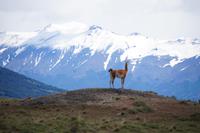 Auf Beobachtungsposten  &ndash; &copy; Andreas Böcker (Eberhardt TRAVEL)