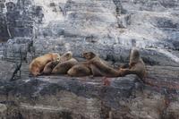 Unstimmigkeiten darüber, wer oben liegen darf &ndash; &copy; Andreas Böcker (Eberhardt TRAVEL)