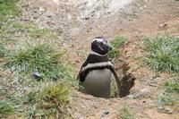 Kuckuck!  &ndash; &copy; Andreas Böcker (Eberhardt TRAVEL)