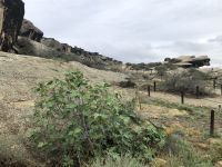 Gobustan-Nationalpark 2 &ndash; &copy; Wolfgang Balling (Eberhardt TRAVEL)