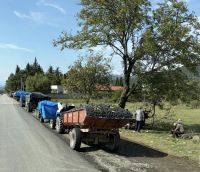 Anstellen an der Kelterei &ndash; &copy; Mathias Schirmer (Eberhardt TRAVEL)
