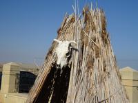 Gobustan Nationalpark &ndash; &copy; Inge Bily (Eberhardt TRAVEL)