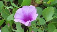 0752 Im Yala-Nationalpark &ndash; &copy; Annette Weise (Eberhardt TRAVEL)