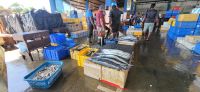 14 Fischhalle &ndash; &copy; Susanne Schirmann (Eberhardt TRAVEL)
