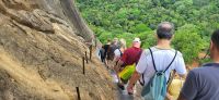 60 Abstieg vom Löwenfelsen