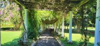 83 Botanischer Garten &ndash; &copy; Susanne Schirmann (Eberhardt TRAVEL)