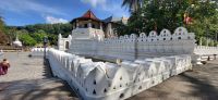 103 Zahntempel in Kandy &ndash; &copy; Susanne Schirmann (Eberhardt TRAVEL)