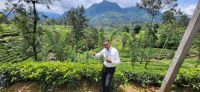 117 Teeplantagen im Hochland &ndash; &copy; Susanne Schirmann (Eberhardt TRAVEL)