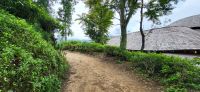 141 Spaziergang im Hochland &ndash; &copy; Susanne Schirmann (Eberhardt TRAVEL)