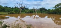 159 Jeepsafari Yala Nationalpark &ndash; &copy; Susanne Schirmann (Eberhardt TRAVEL)