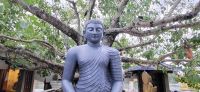 269 Gangaramaya Tempel Colombo &ndash; &copy; Susanne Schirmann (Eberhardt TRAVEL)