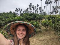 332. Hugosom Teeplantage, Yuchi, Taiwan &ndash; &copy; Teresa Rumpel (Eberhardt TRAVEL)