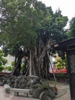 356. Fort Provintia, Tainan, Taiwan &ndash; &copy; Teresa Rumpel (Eberhardt TRAVEL)