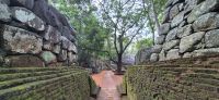 46 Sigiriya &ndash; &copy; Susanne Schirmann (Eberhardt TRAVEL)