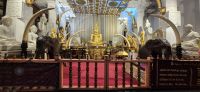 81 Zahntempel Kandy &ndash; &copy; Susanne Schirmann (Eberhardt TRAVEL)