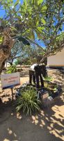 142 Besuch eines ganz besonderen Tempels &ndash; &copy; Susanne Schirmann (Eberhardt TRAVEL)