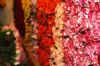 Blumenmarkt &ndash; &copy; Astrid Kunath (Eberhardt TRAVEL)