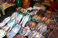 Fischmarkt &ndash; &copy; Astrid Kunath (Eberhardt TRAVEL)