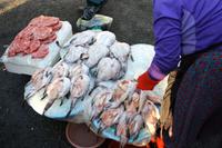 Fischmarkt &ndash; &copy; Astrid Kunath (Eberhardt TRAVEL)