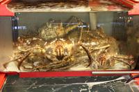 Fischmarkt &ndash; &copy; Astrid Kunath (Eberhardt TRAVEL)