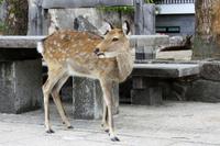 &copy; Astrid Kunath (Eberhardt TRAVEL)