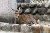 &copy; Astrid Kunath (Eberhardt TRAVEL)