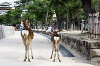 &copy; Astrid Kunath (Eberhardt TRAVEL)