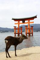 &copy; Astrid Kunath (Eberhardt TRAVEL)