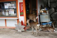 &copy; Astrid Kunath (Eberhardt TRAVEL)