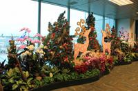 0004a Weihnachtsdeko im heißen Singapur &ndash; &copy; Peter Möbius (Eberhardt TRAVEL)