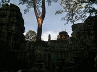 0495 Sonnenstreichel am Ta Prohm.jpg &ndash; &copy; Peter Möbius (Eberhardt TRAVEL)