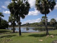 0537 Angkor Wat.jpg &ndash; &copy; Peter Möbius (Eberhardt TRAVEL)