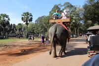 0570 Alternative Treibstoffe.jpg &ndash; &copy; Peter Möbius (Eberhardt TRAVEL)
