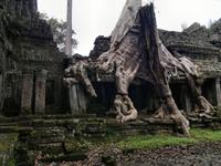 0574 Preah  Khan - Heiliges Schwert.jpg &ndash; &copy; Peter Möbius (Eberhardt TRAVEL)