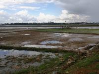 Dorf Peam Ta -Abseits der Asphaltstraßen zum Tonle Sap.jpg &ndash; &copy; Peter Möbius (Eberhardt TRAVEL)