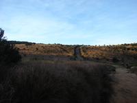 089 - Horton Plains