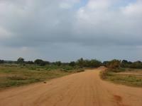 097 - Yala NP &ndash; &copy; Anett Scheffler (Eberhardt TRAVEL)