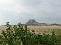 099 - Yala NP