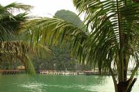 Halong Bucht &ndash; &copy; Denise Hartmann (Eberhardt TRAVEL)