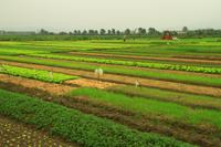Landwirtschaft &ndash; &copy; Denise Hartmann (Eberhardt TRAVEL)