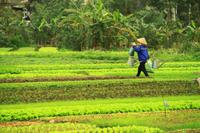 Landwirtschaft &ndash; &copy; Denise Hartmann (Eberhardt TRAVEL)
