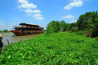 Im Mekong Delta &ndash; &copy; Denise Hartmann (Eberhardt TRAVEL)
