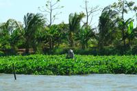 Im Mekong Delta &ndash; &copy; Denise Hartmann (Eberhardt TRAVEL)